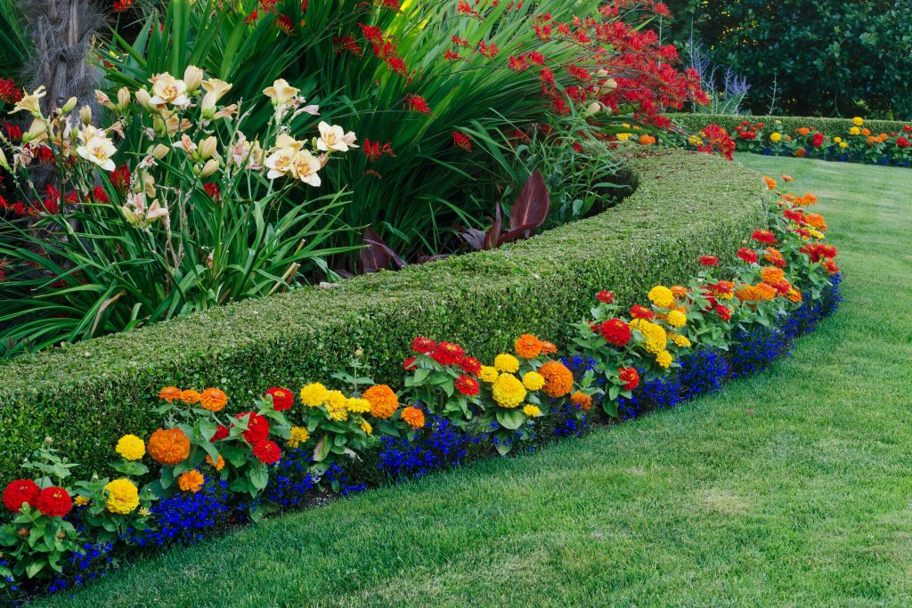 Colorful Garden